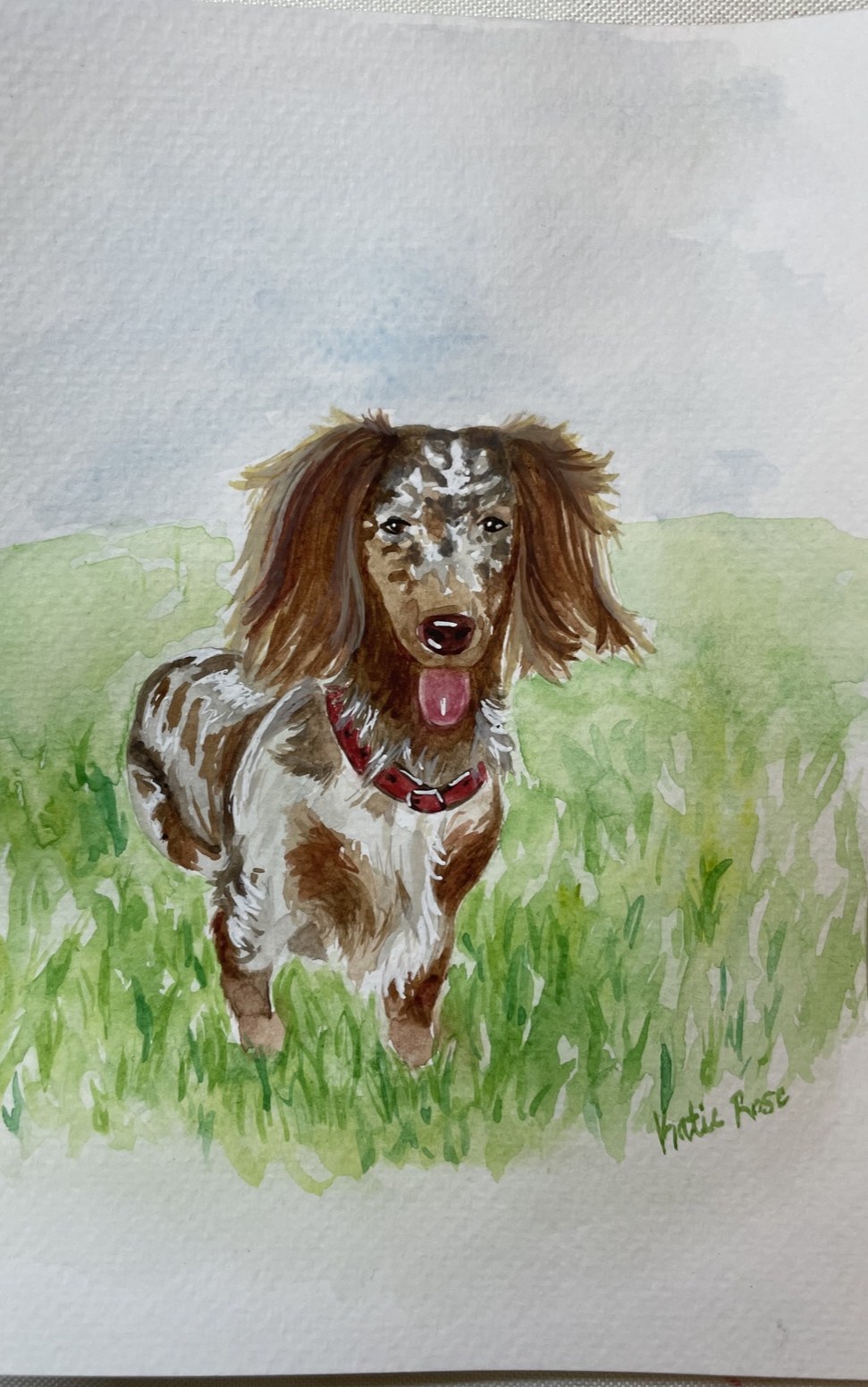 Katie's watercolor painting of a dapple dachshund in the grass
