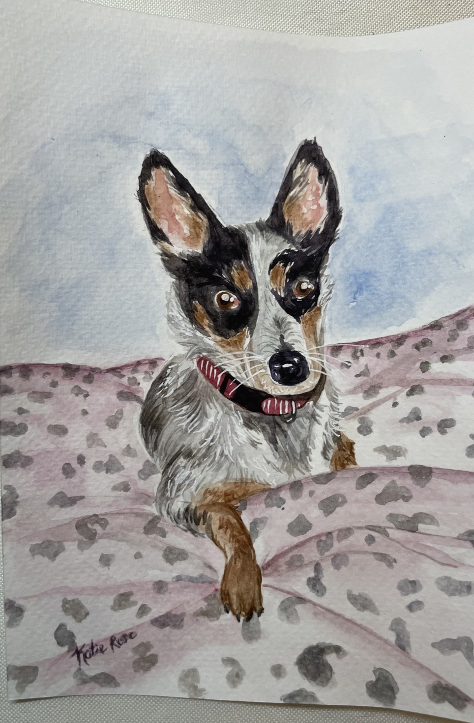 Katie's watercolor painting of a cattle dog with a red collar