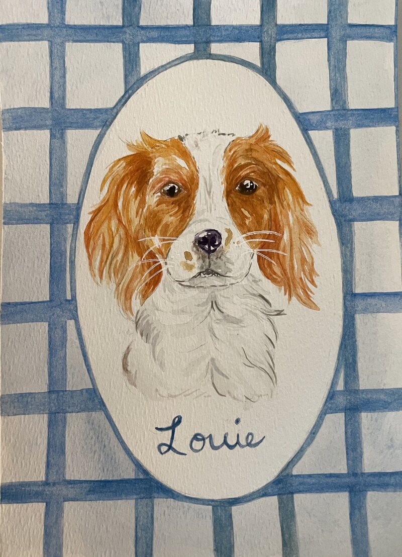 A custom watercolor pet portrait of Louie, a Cavalier spaniel on a blue gingham background, recreated from a photograph